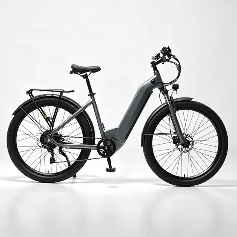 7단 변속 36V 250W 전기 자전거 도시 통근용 전 - Cycling Commute Speed 리뷰 및 가격